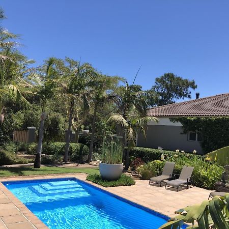 African Palm Cottage And Guesthouse Durbanville Dış mekan fotoğraf