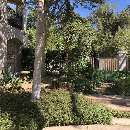 African Palm Cottage And Guesthouse Durbanville Dış mekan fotoğraf
