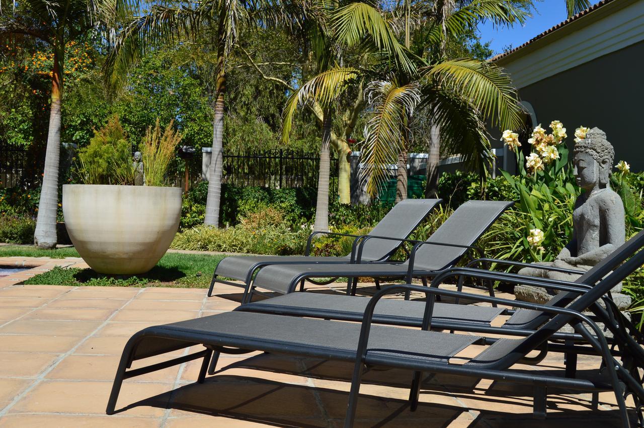 African Palm Cottage And Guesthouse Durbanville Dış mekan fotoğraf