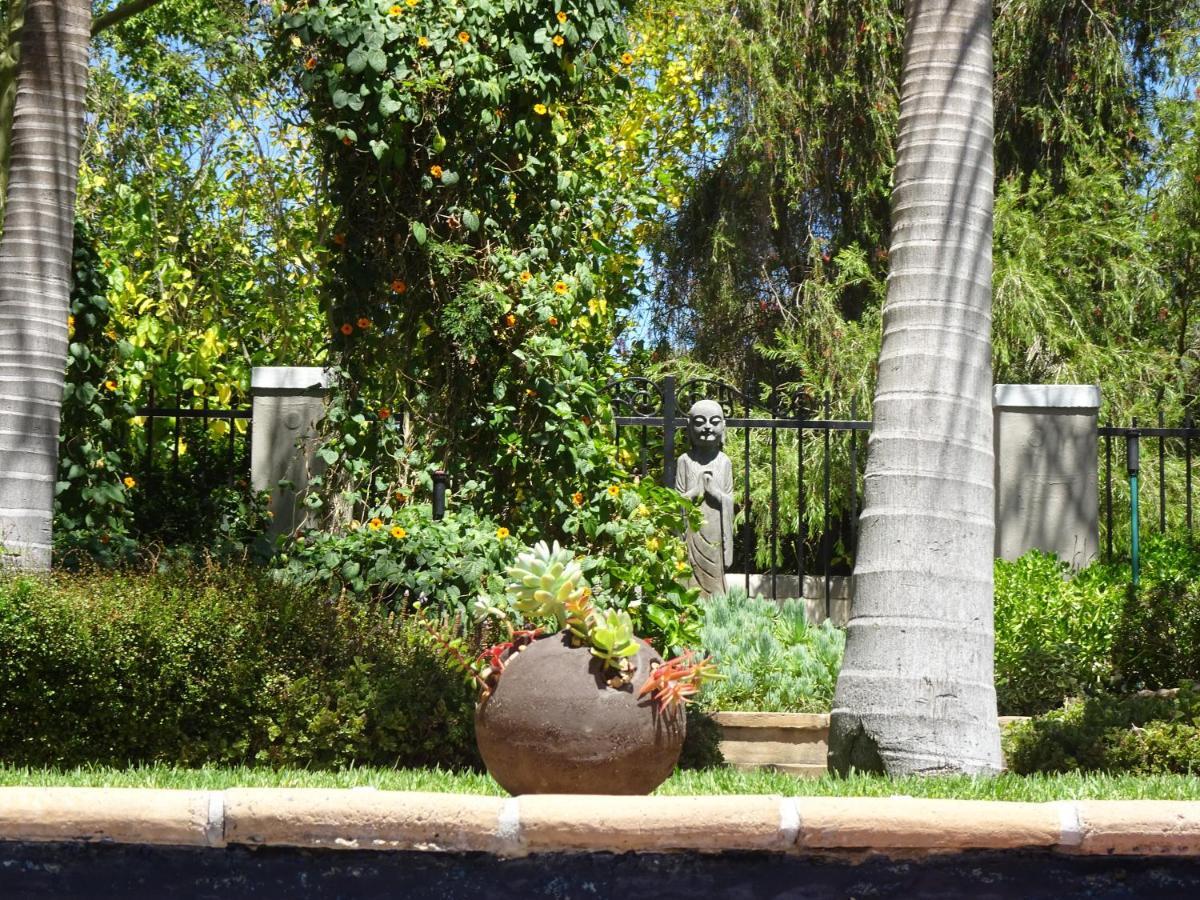 African Palm Cottage And Guesthouse Durbanville Dış mekan fotoğraf